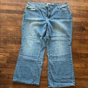 Faded Glory Light Blue Flare Jeans